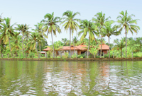 Snake Boat Race at Alappuzha