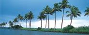 Kumarakom Kerala Backwaters