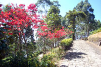 Road to Aranyaka