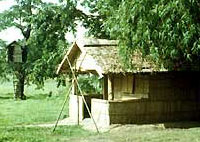 Cottage at Bamboo Grove Thekkady