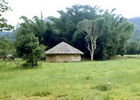 Honeymoon Cottage at Bamboo Grove Thekkady