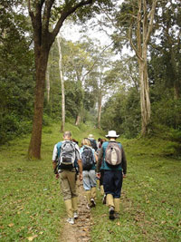 Trekking at Periyar Wild Life Sanctuary