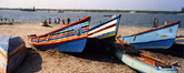 Fishing Boats Cochin