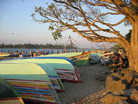 Fishing Harbor Cochin Kerala