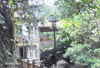 Cottage at Bamboo Grove Thekkady