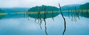 Periyar Lake Kerala