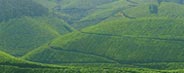 Tourism in Kerala